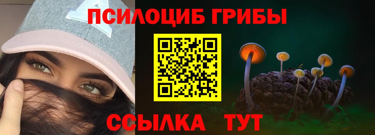 Галлюциногенные грибы GOLDEN TEACHER Уварово